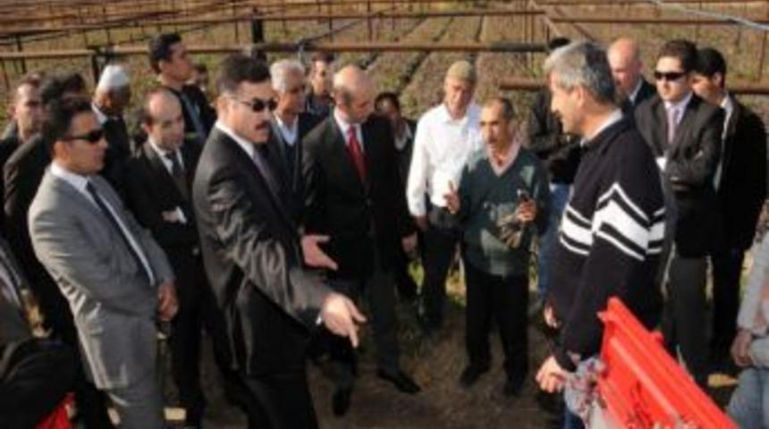 Batman&rsquo;da Antep fıstığı ve meyve fidanı dağıtımına başlandı