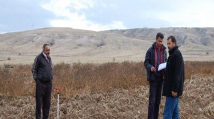 21 bin 945 dekar patates dondan etkilendi