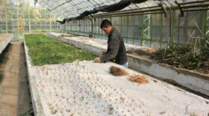 E&Uuml; Ziraat Fak&uuml;ltesi, &ouml;ğretmenlere &ouml;zel &ccedil;i&ccedil;ek satışına başladı