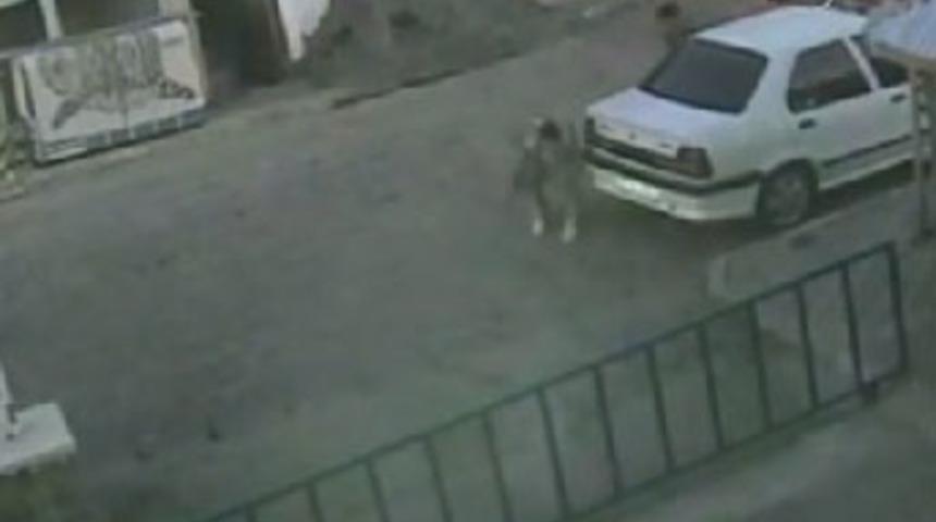 Hainleri püskürten polis ayın polisi seçildi