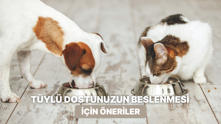 Patili dostunuzun g&uuml;nl&uuml;k beslenme rutinini g&uuml;zelleştirecek k&uuml;&ccedil;&uuml;k dokunuşlar