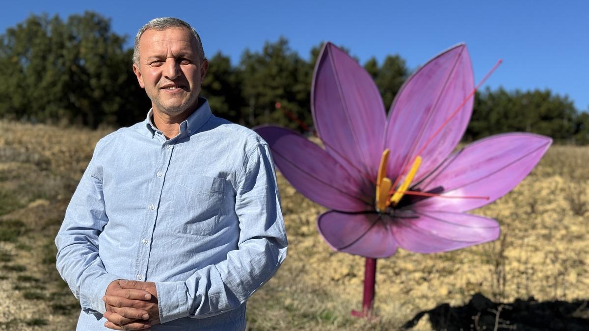 Altınla yarışan baharatın hasadı başladı! Kilogramı 800 bin TL 5