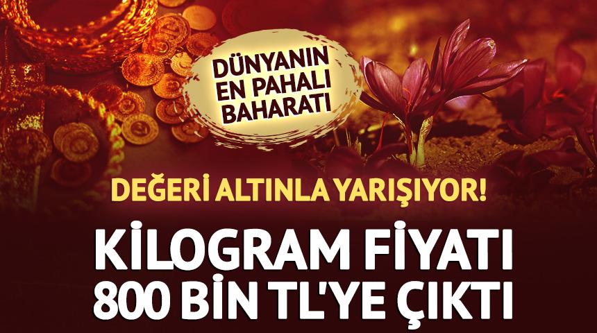 Altınla yarışan baharatın hasadı başladı! Kilogramı 800 bin TL