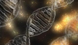 Genetik risklerinizi yaşam alışkanlıklarınızla azaltabilirsiniz! Yaşlılık kapıyı &ccedil;almadan &ouml;nlem alın