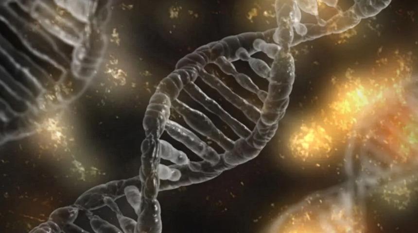 Genetik risklerinizi yaşam alışkanlıklarınızla azaltabilirsiniz! Yaşlılık kapıyı &ccedil;almadan &ouml;nlem alın
