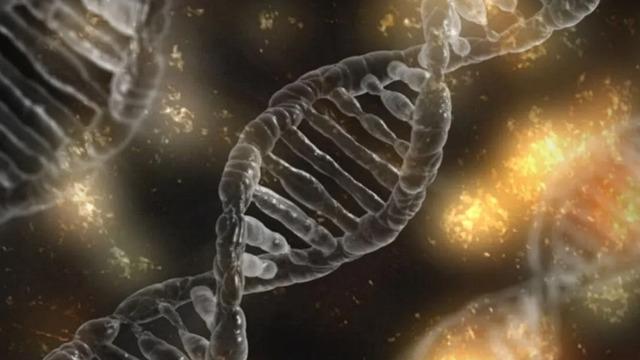 Genetik risklerinizi yaşam alışkanlıklarınızla azaltabilirsiniz! Yaşlılık kapıyı çalmadan önlem alın