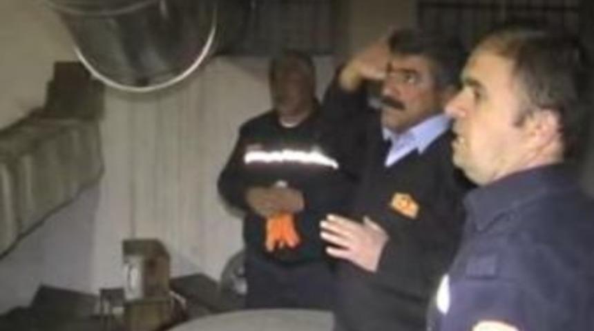 Kedi yine kediliğini yaptı...