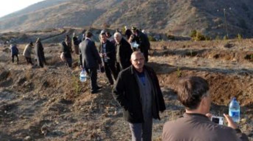 &Ccedil;ankırı, bal ormanına kavuşuyor