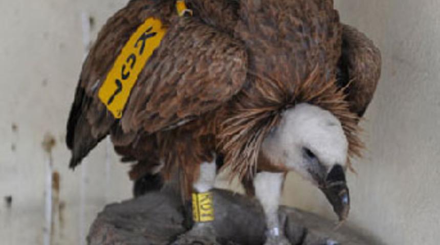 Askeri birliğe K07 düştü