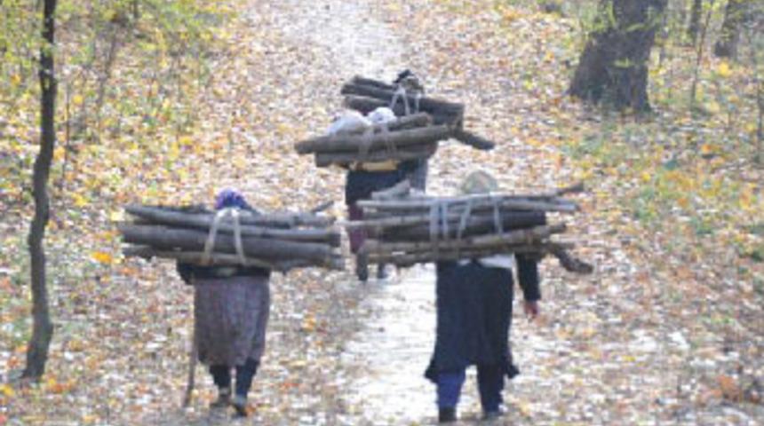 İstanbul'un g&ouml;beğinde, kadınların odun &ccedil;ilesi