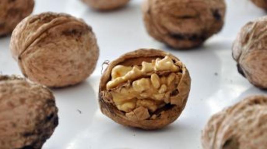 Hamzabeyli&rsquo;de 175 kilogram ka&ccedil;ak ceviz i&ccedil;i ele ge&ccedil;irildi