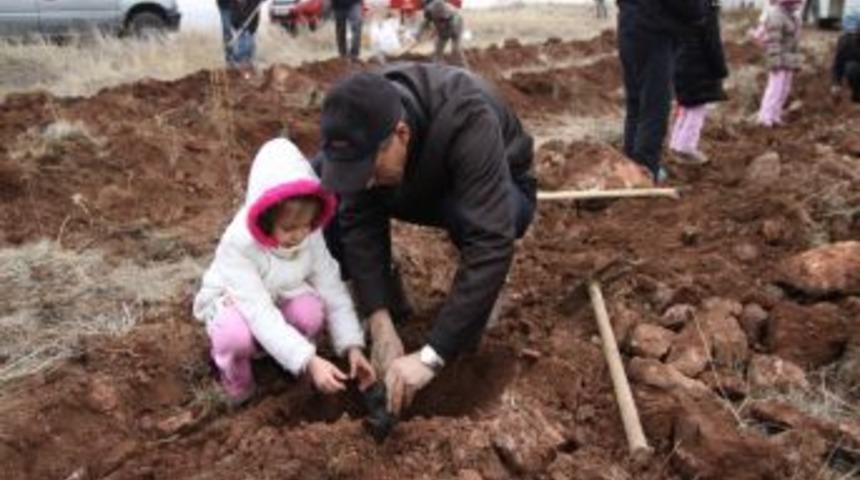3 okulun &ouml;ğrencilerinden doğaya 300 fidan