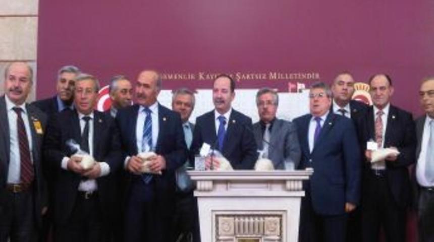 &Ccedil;eltik &uuml;reticileri sorunlarını Meclis&rsquo;te dile getirdi