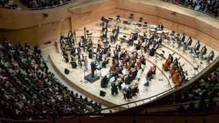Dünyaca ünlü Strauss Philharmonie Viyana'nın ruhunu Ankara ve İstanbul’a taşıyacak
