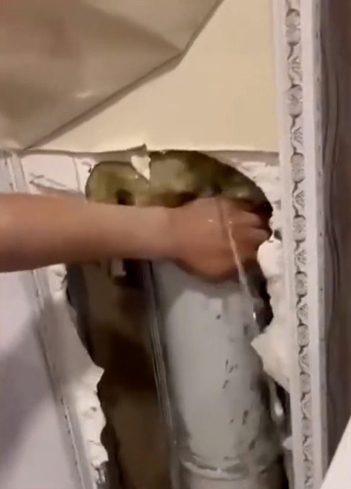 Dükkanında bitmek bitmeyen çile: 2 yıldır başına gelmeyen kalmadı! 3