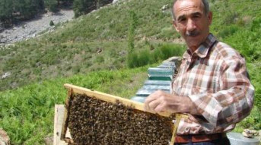 Manavgat'ta bal &uuml;retimi 3 yıl i&ccedil;inde 105'ten 215 tona ulaştı
