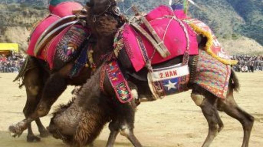 Yağışlı hava g&uuml;reşleri iptal ettirdi