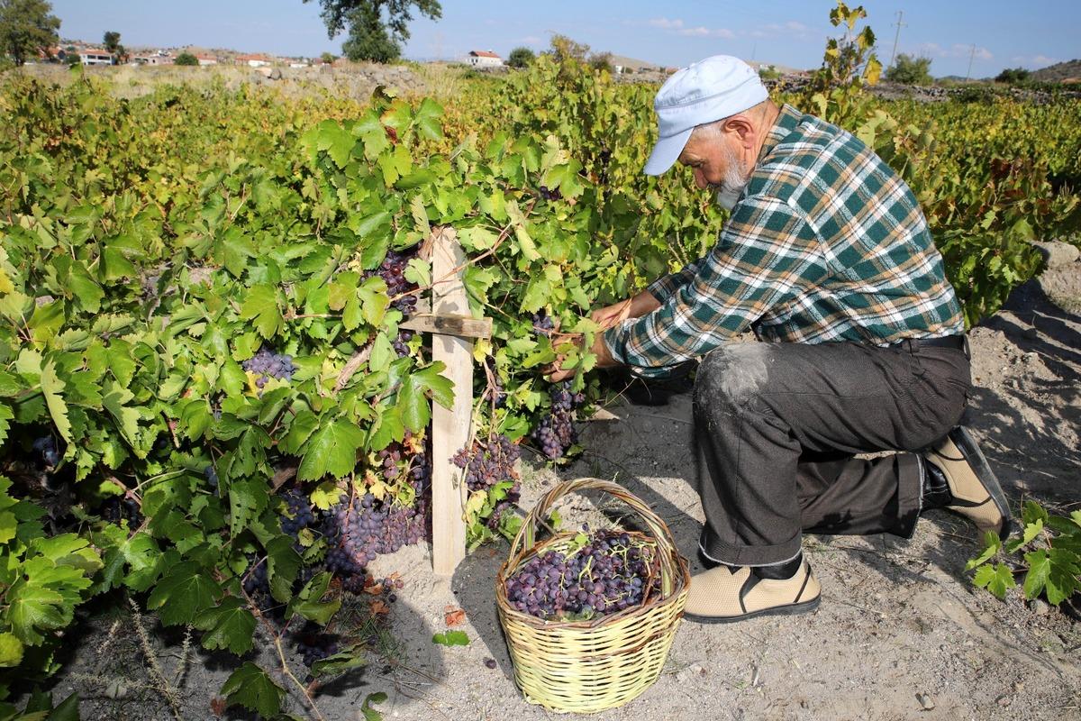 Ne çiçek ne pasta! 77 yaşındaki eşine verdiği hediye her yıl aynı 4