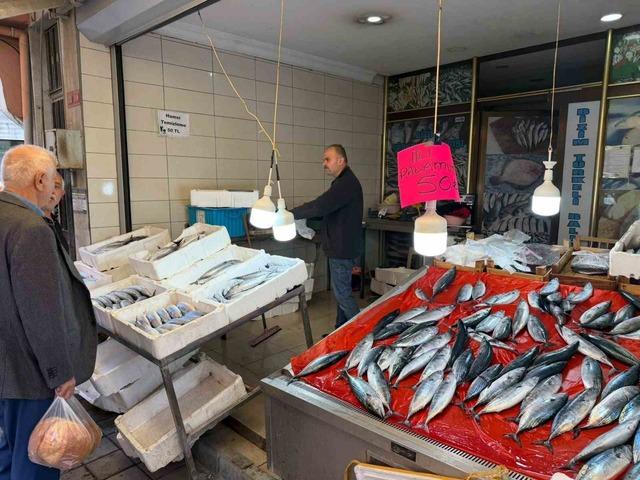 Türkeli’de palamutun adeti 50 liraya düştü 3