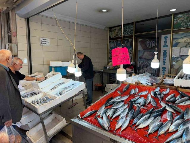 Türkeli’de palamutun adeti 50 liraya düştü 2