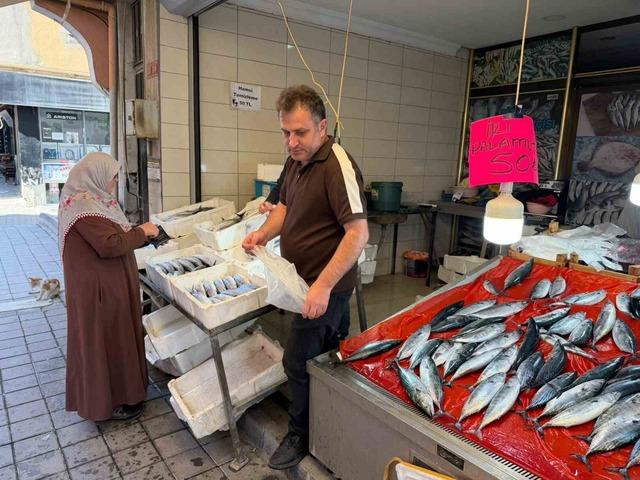 T&uuml;rkeli&rsquo;de palamutun adeti 50 liraya d&uuml;şt&uuml; 1