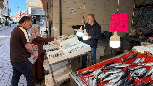 Türkeli’de palamutun adeti 50 liraya düştü