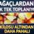 Kilosu altından daha pahalı: Ağa&ccedil;lardan toplanıyor