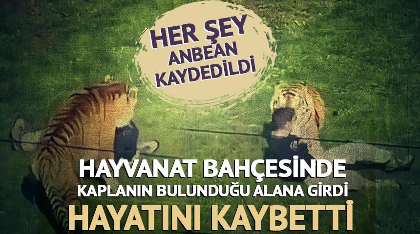 Kaplanın bulunduğu alana girdi, hayatını kaybetti