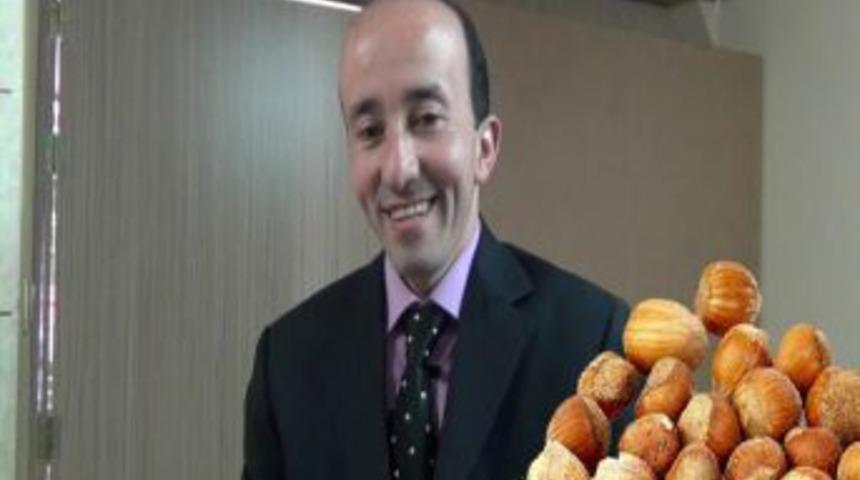 Tek kişilik fındık tanıtım organizasyonu