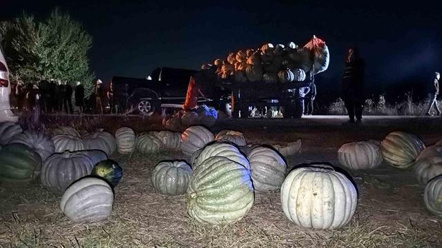 Bolu’da trafik kazası: 4 yaralı