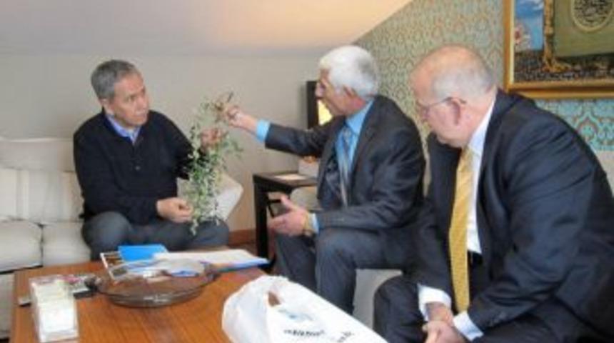 Arın&ccedil;, zeytin &uuml;reticilerinin sorunlarına sahip &ccedil;ıktı