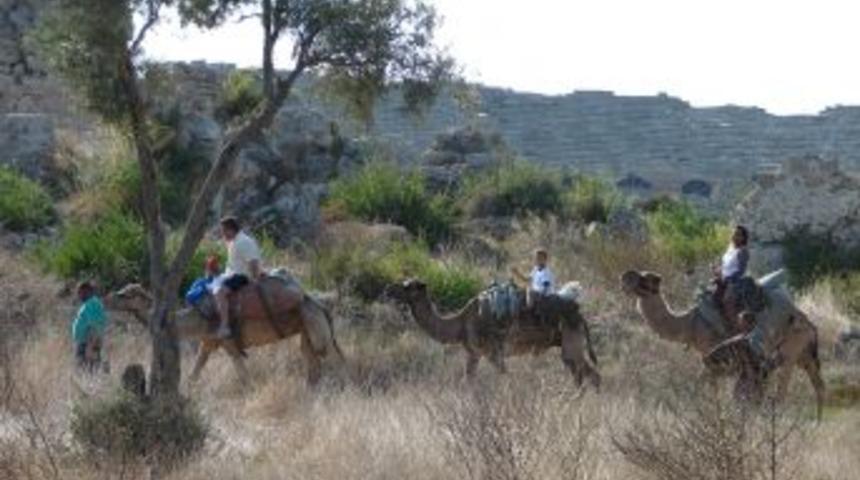 Deve turcuları sezondan umduğunu bulamadı