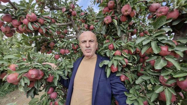 Karaman’da elmada rekolte yüksek olunca fiyatlar geriledi