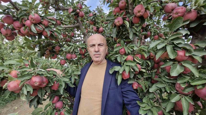 Karaman&rsquo;da elmada rekolte y&uuml;ksek olunca fiyatlar geriledi