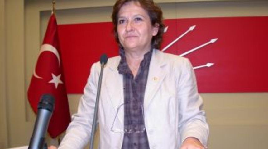 CHP S&ouml;zc&uuml;s&uuml; G&uuml;ler: Devrimci Fransa'dan geriye gerici Fransa kaldı