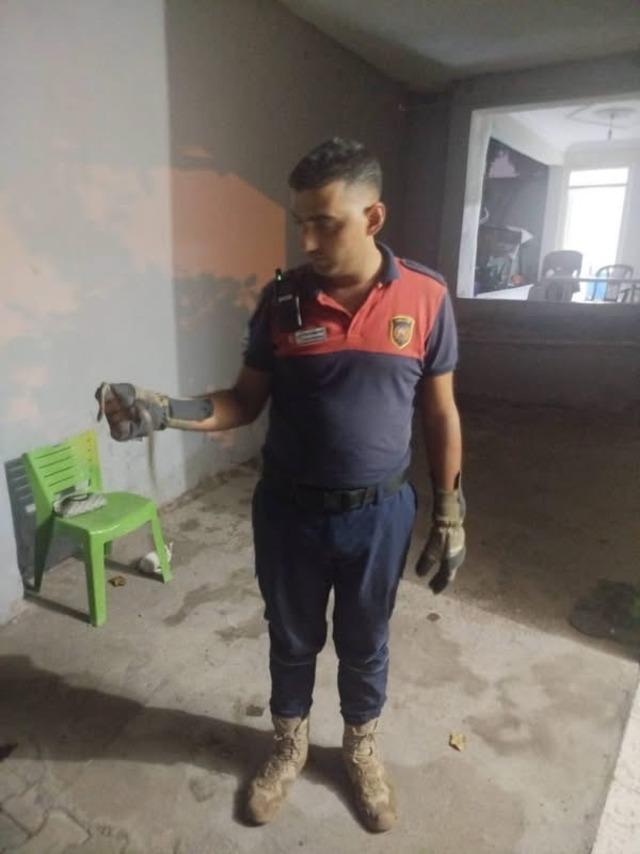 Hatay’da yerleşim yerlerinde görülen yılanlar yakalanarak doğal yaşam alanlarına bırakıldılar 2