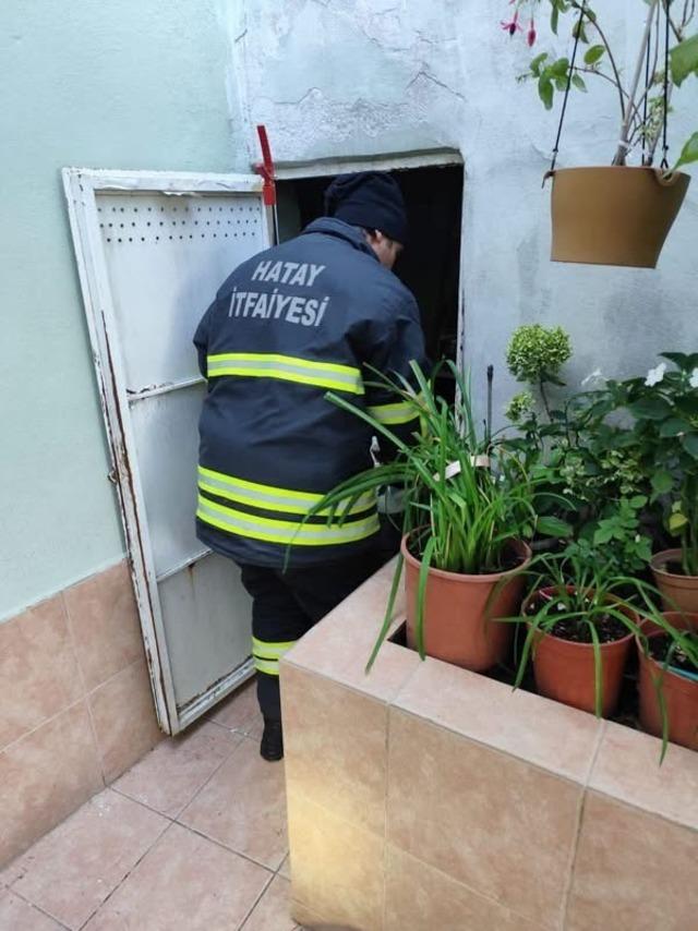 Hatay’da yerleşim yerlerinde görülen yılanlar yakalanarak doğal yaşam alanlarına bırakıldılar 1