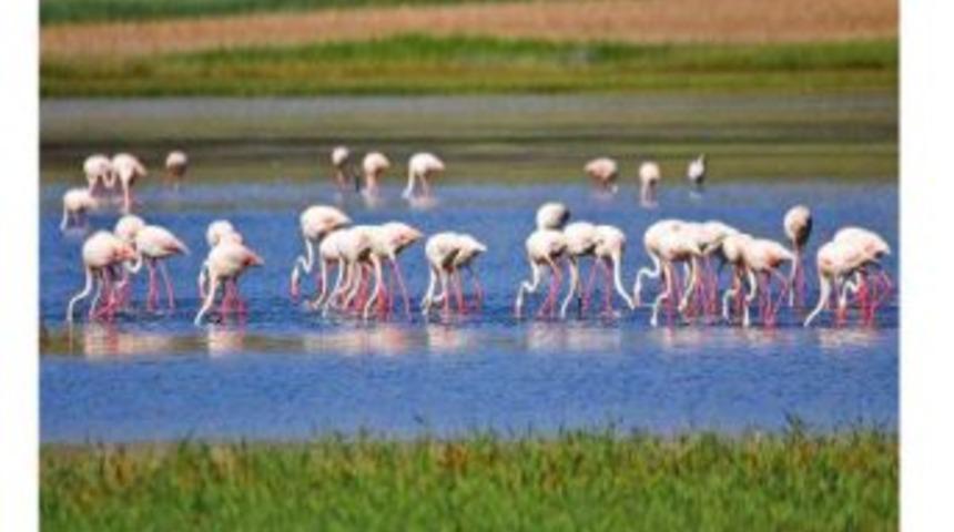 Depremzede sanat&ccedil;ılar yararına fotoğraf sergisi a&ccedil;ıldı