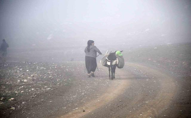 Soğuk etkisini gösterdi, Şırnak’ta göçerler yayladan ayrılmaya başladı 5