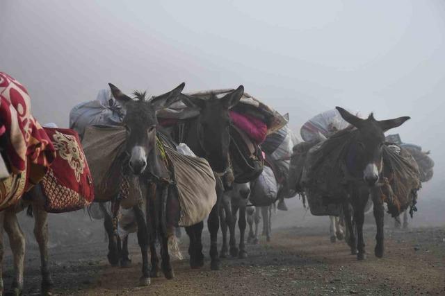 Soğuk etkisini gösterdi, Şırnak’ta göçerler yayladan ayrılmaya başladı 3