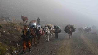 Soğuk etkisini gösterdi, Şırnak’ta göçerler yayladan ayrılmaya başladı