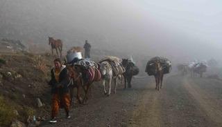 Soğuk etkisini g&ouml;sterdi, Şırnak&rsquo;ta g&ouml;&ccedil;erler yayladan ayrılmaya başladı