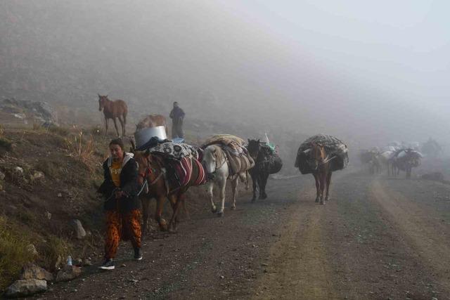 Soğuk etkisini gösterdi, Şırnak’ta göçerler yayladan ayrılmaya başladı