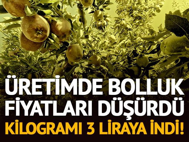 &Uuml;retimde bolluk fiyatları d&uuml;ş&uuml;rd&uuml;! Kilogramı 3 liraya indi