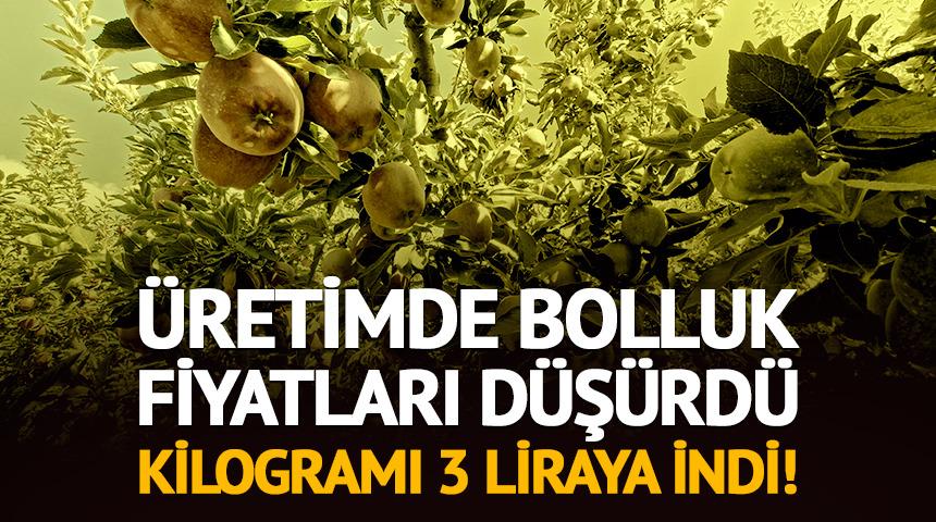 &Uuml;retimde bolluk fiyatları d&uuml;ş&uuml;rd&uuml;! Kilogramı 3 liraya indi