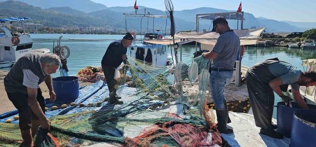 Kastamonu’da palamut bereketi: Kiloluk palamutlar 40 TL’ye satılıyor 6