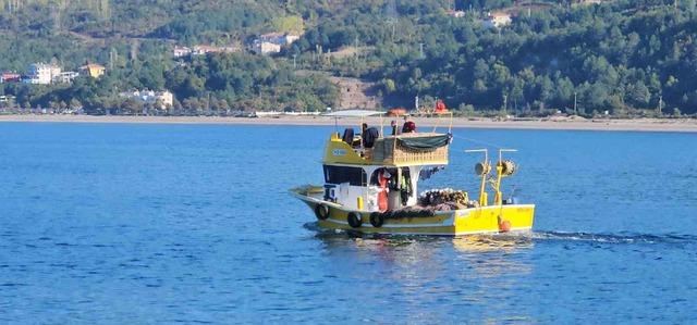 Kastamonu’da palamut bereketi: Kiloluk palamutlar 40 TL’ye satılıyor 4