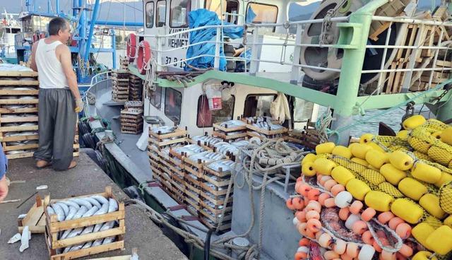 Kastamonu’da palamut bereketi: Kiloluk palamutlar 40 TL’ye satılıyor 1