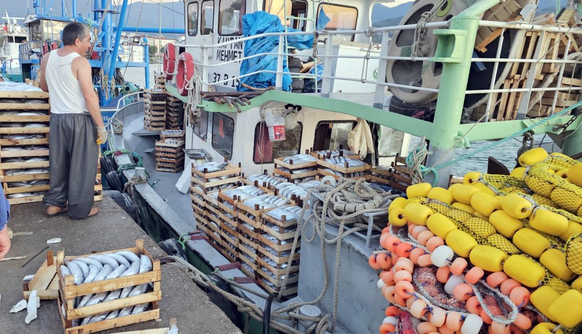 Kasa kasa dönüyorlar: Tanesi 40 TL ye düştü! Uzun kuyruk oldu 1