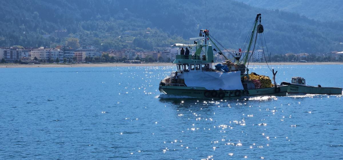 Kasa kasa dönüyorlar: Tanesi 40 TL ye düştü! Uzun kuyruk oldu 3